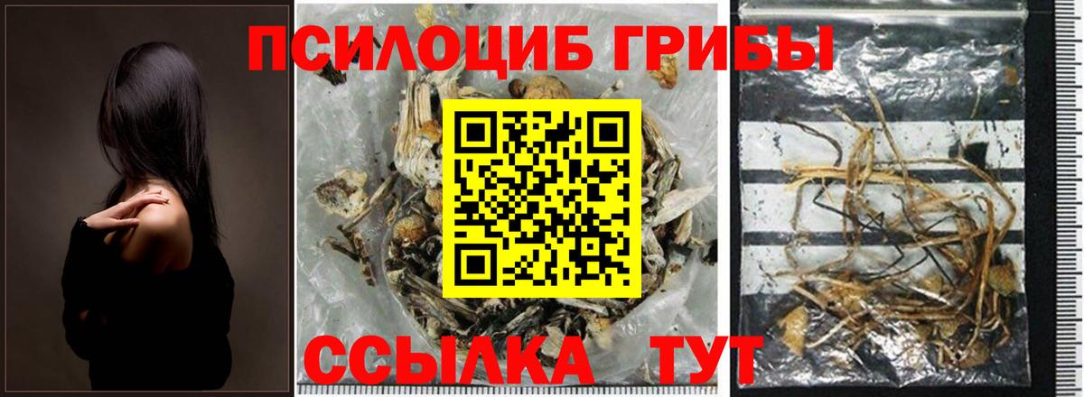 Галлюциногенные грибы MAGIC MUSHROOMS  Вход с VPN  Белогорск 