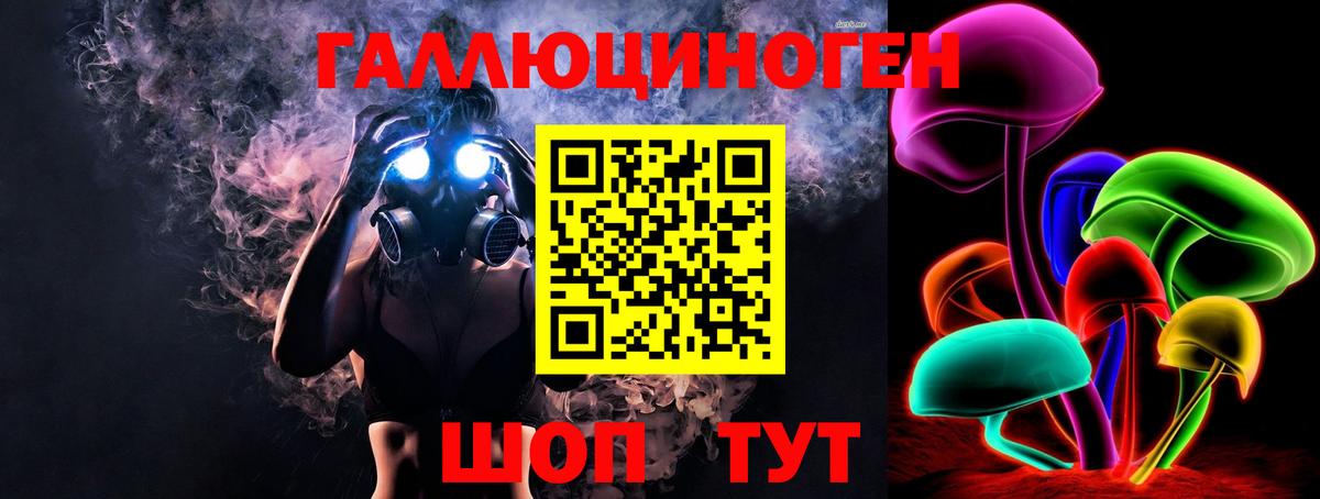 Псилоцибиновые грибы Psilocybe Белогорск